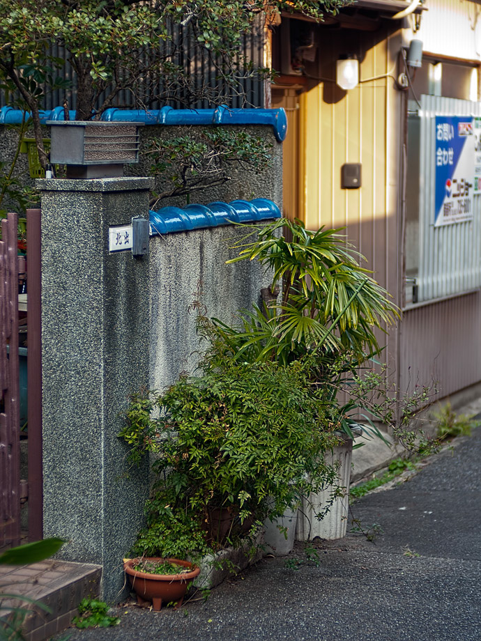 _1380253_Voigtlander_Nokton_Asph_50mm_f1.5