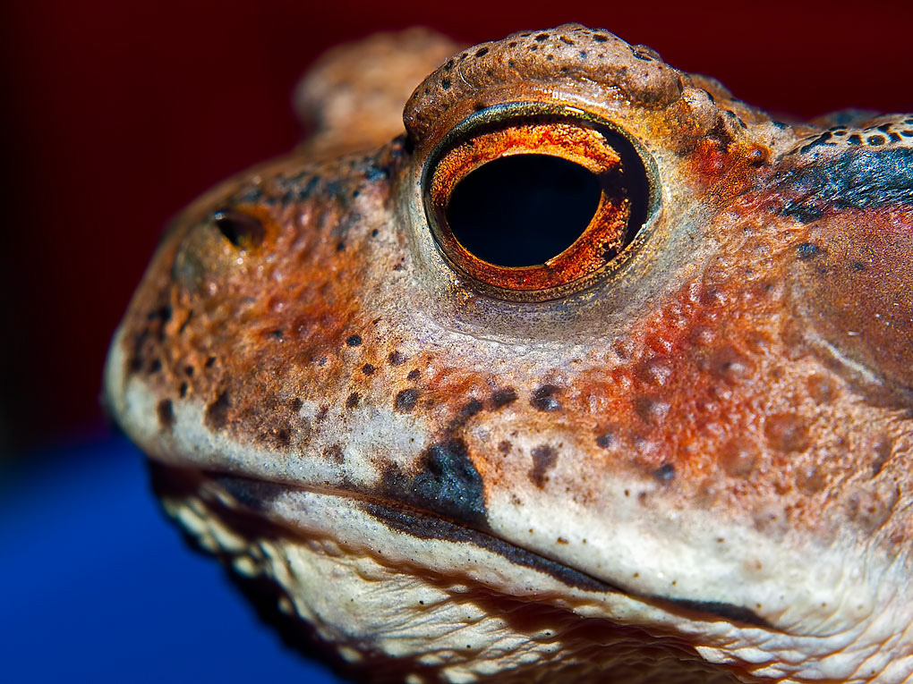 _1030680