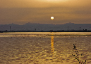 PICT9019_Ken_Sunset